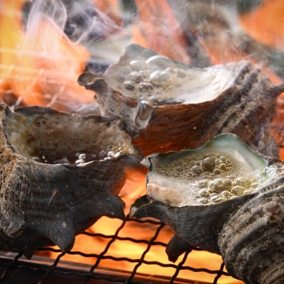 活きたまま海水パック《活サザエ》約1kg