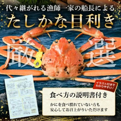 【2025年2月より順次発送】地物!はるか丸が厳選した越前がに【大サイズ】1杯!カニスプーン付き