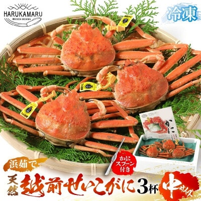 今期とれたて茹でたてを瞬間冷凍!はるか丸が厳選【越前タグ付きセイコガニ3杯】