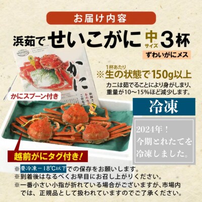 今期とれたて茹でたてを瞬間冷凍!はるか丸が厳選【越前タグ付きセイコガニ3杯】