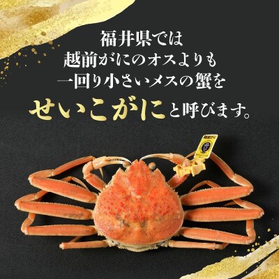 今期とれたて茹でたてを瞬間冷凍!はるか丸が厳選【越前タグ付きセイコガニ3杯】