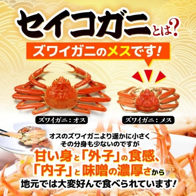 今期とれたて茹でたてを瞬間冷凍!はるか丸が厳選【越前タグ付きセイコガニ3杯】