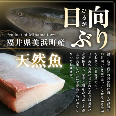 天然!美浜町産「日向ぶり」 ぶりカツ 約450g(約150g×3袋)