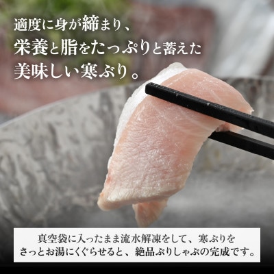 天然!地物!ひるがの寒ぶり【ぶりしゃぶ3～4人前セット】