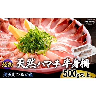 天然!地物!ひるがのハマチ 柵2本【合計500g以上】
