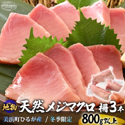天然!地物!ひるがのメジマグロ 柵約3本【合計800g以上】