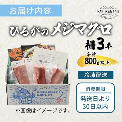 天然!地物!ひるがのメジマグロ 柵約3本【合計800g以上】