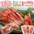 子持ち甘えび中サイズ【小分け・12尾前後×3袋】約500g
