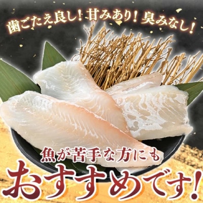 若狭の天然活〆ヒラメ柵400g以上【お刺身用】【解凍後、切るだけ】
