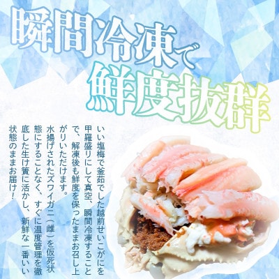 越前せいこ甲羅盛り計約220g(約110g×2杯)大サイズ【冷凍】