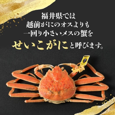 越前せいこ甲羅盛り計約220g(約110g×2杯)大サイズ【冷凍】