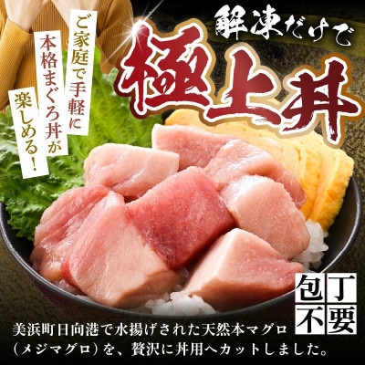 若狭天然本まぐろ (メジマグロ) 丼用カット300g(100g×3)