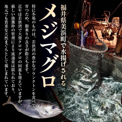 若狭天然本まぐろ (メジマグロ) 丼用カット300g(100g×3)