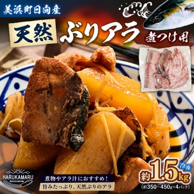 天然ぶり ブリアラ(煮付け用)4パック　合計 約1.5kg 美浜町日向産
