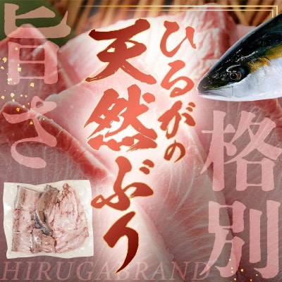 天然ぶり ブリアラ(煮付け用)4パック　合計 約1.5kg 美浜町日向産