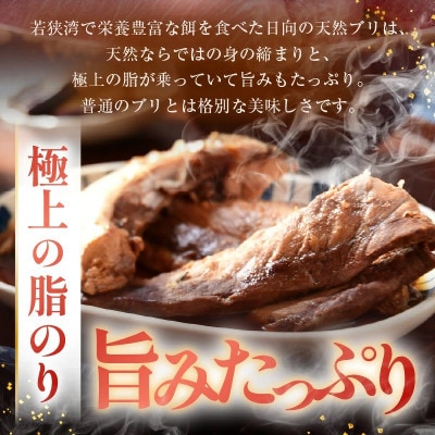 天然ぶり ブリアラ(煮付け用)4パック　合計 約1.5kg 美浜町日向産