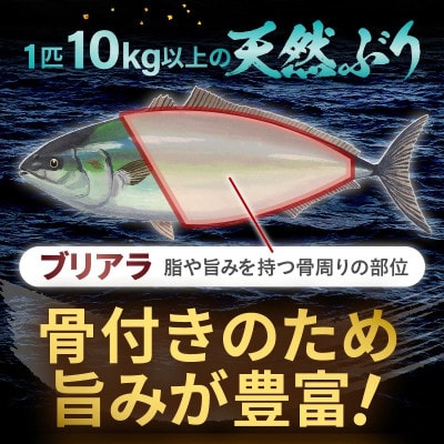天然ぶり ブリアラ(煮付け用)4パック　合計 約1.5kg 美浜町日向産