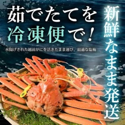 ≪こだわり冷凍≫ 越前がに 約800g～900g × 1杯(かにスプーン付き)