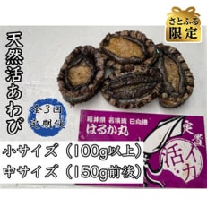 【2ヵ月毎定期便】【さとふる限定】活きたまま天然アワビ約600g 海水パックにてお届け!全3回