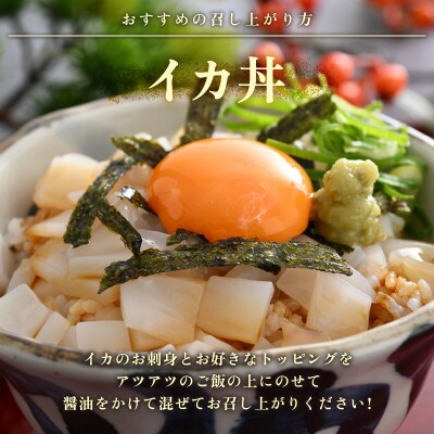 【発送月固定定期便】【さとふる限定】【2・6・11月発送】急速冷凍したお刺身で食べるイカ全3回