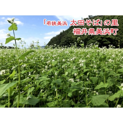 【若狭美浜】太田そばセット(2袋入り・つゆ付)