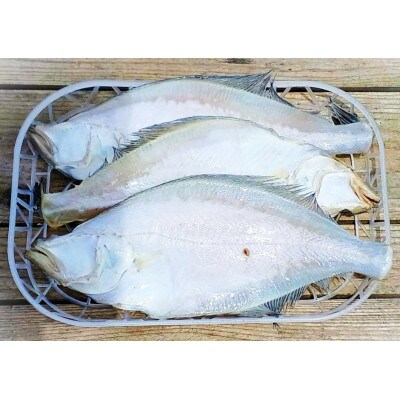 漁場の手作り干物セット(アジ5尾、カレイ3尾)