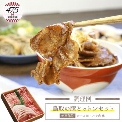 鳥取の豚とっトンセット