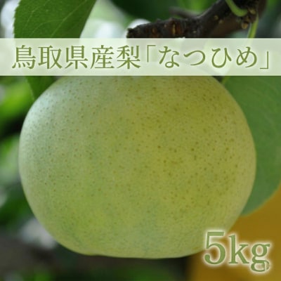鳥取県産梨「なつひめ梨」(5kg)