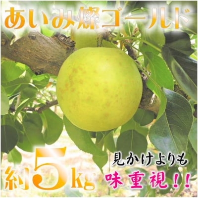 鳥取県産梨『あいみ燦(サン)ゴールド』5kg