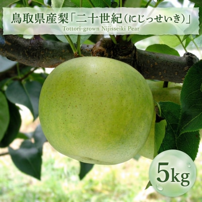 鳥取県産梨「二十世紀(にじゅっせいき)」　5kg