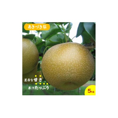 鳥取県産梨『あきづき梨』(5kg)