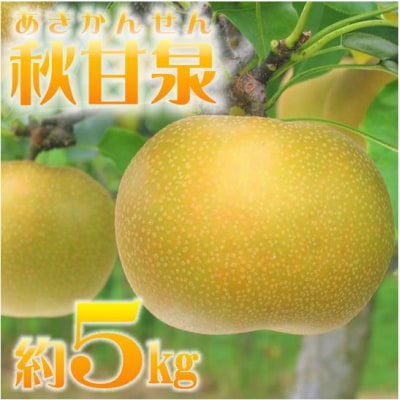 鳥取県産梨「秋甘泉(あきかんせん)」(5kg)