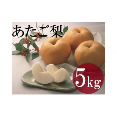 鳥取県産梨『あたご梨』 5kg