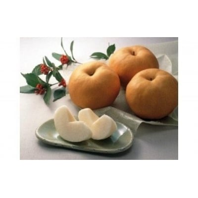 鳥取県産梨『あたご梨』 5kg