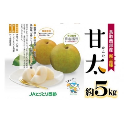 鳥取県産梨『甘太(かんた)梨』5kg