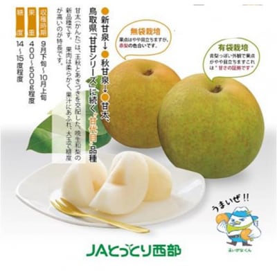 鳥取県産梨『甘太(かんた)梨』5kg