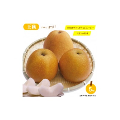 鳥取県産梨「王秋」5kg