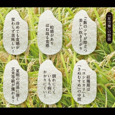 2021年産 星空舞 10kg(5kg×2袋)【11月から発送開始】