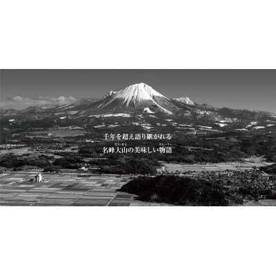 <大山物語>　氷温熟成 鳥取和牛×大山豚手造りハンバーグ 120g×6