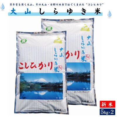 【令和4年産】大山しらゆき米10kg(精白、コシヒカリ、5kg×2) | ふるさと納税のお礼品