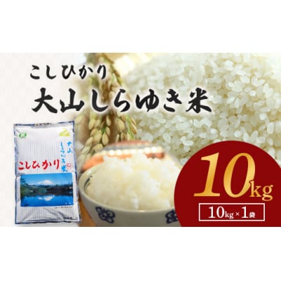 令和7年産 大山しらゆき米10kg(精白、コシヒカリ)