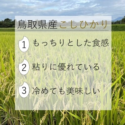 【令和3年産】大山しらゆき米10kg(精白、コシヒカリ、5kg×2)