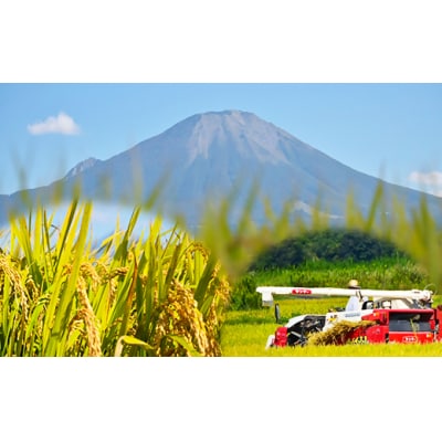 令和7年産 大山しらゆき米 10kg　無洗米　コシヒカリ