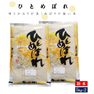 鳥取県産小畑さん令和6年新米ひとめぼれ玄米29kg （令和6年産