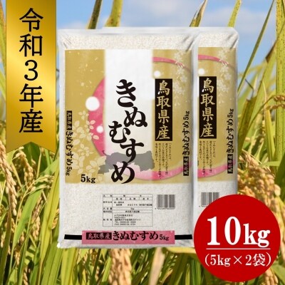 令和3年産 鳥取県産きぬむすめ5kg×2