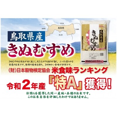 令和3年産 鳥取県産きぬむすめ5kg×2