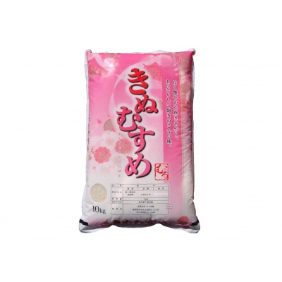 令和7年度 きぬむすめ10kg(精白)