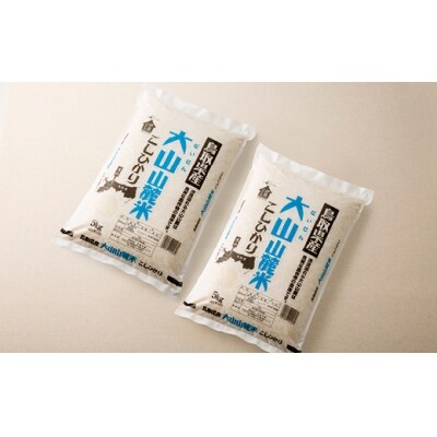 【定期便】大山山麓お米コース 10kg×4 (全4回)【高島屋選定品】