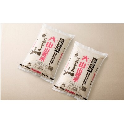 【定期便】大山山麓お米コース 10kg×4 (全4回)【高島屋選定品】
