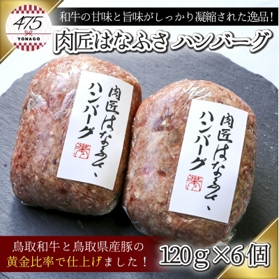 肉匠はなふさ　ハンバーグ　120g×6個